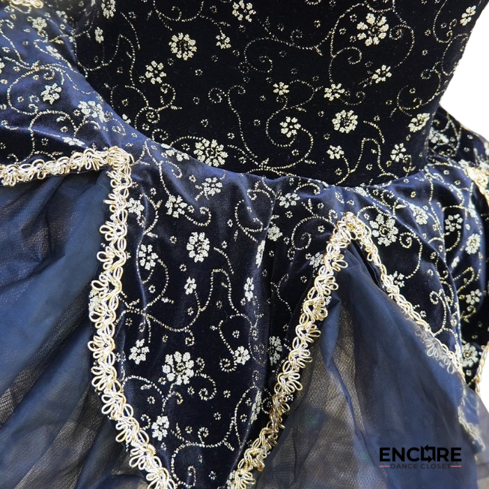 Golden Spotlight Tutu